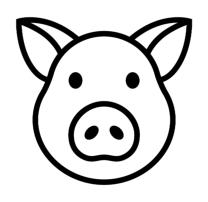 Schweinerassen und Haltung aus dem Landkreis